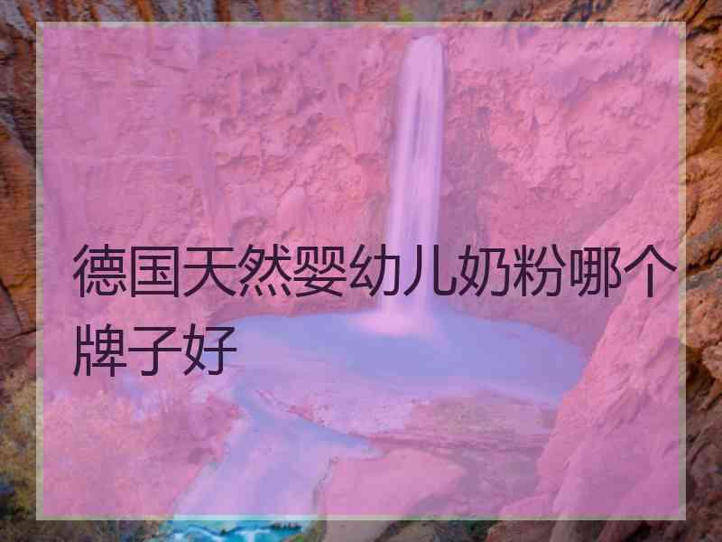 德国天然婴幼儿奶粉哪个牌子好