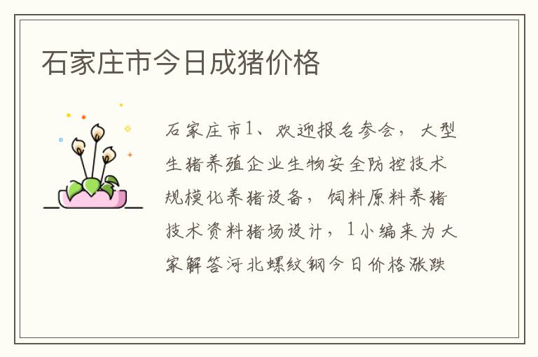 石家庄市今日成猪价格