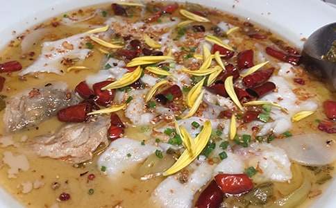 餐饮辞职报告集合