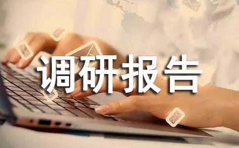 关于民宿产业发展的调研报告