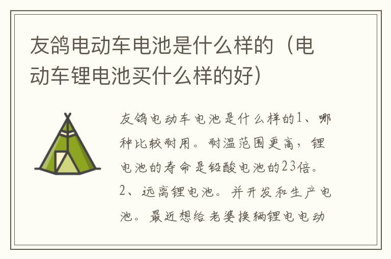 友鸽电动车电池是什么样的（电动车锂电池买什么样的好）