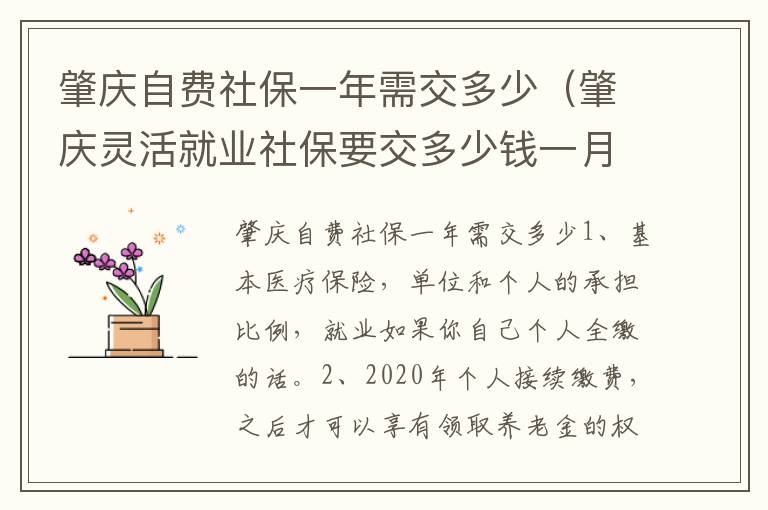 肇庆自费社保一年需交多少（肇庆灵活就业社保要交多少钱一月）