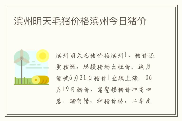 滨州明天毛猪价格滨州今日猪价