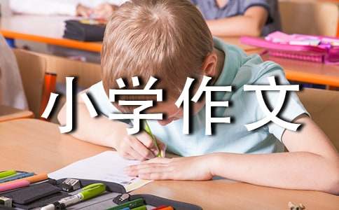【必备】夸夸小学作文300字4篇