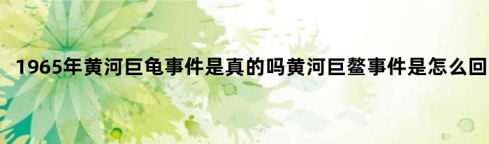1965年黄河巨龟事件是真的吗 黄河巨鳌事件是怎么回事？