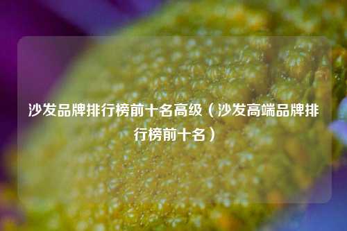 沙发品牌排行榜前十名高级（沙发高端品牌排行榜前十名）