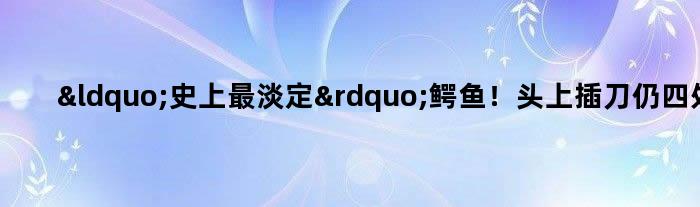 “史上最淡定”鳄鱼！头上插刀仍四处游动