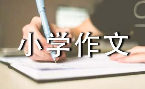 精选拜年小学作文300字合集6篇