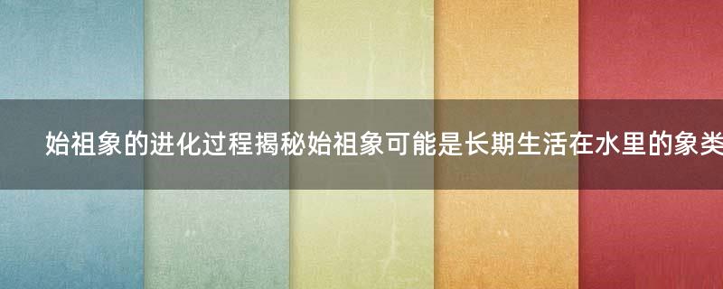 始祖象的进化过程揭秘 始祖象可能是长期生活在水里的象类