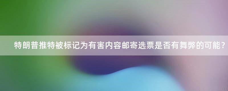 特朗普推特被标记为有害内容 邮寄选票是否有舞弊的可能？