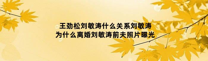 王劲松刘敏涛什么关系 刘敏涛为什么离婚 刘敏涛前夫照片曝光