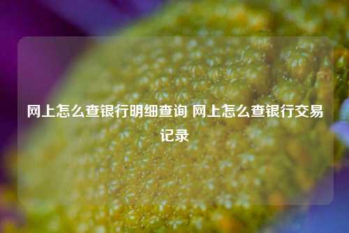 网上怎么查银行明细查询 网上怎么查银行交易记录