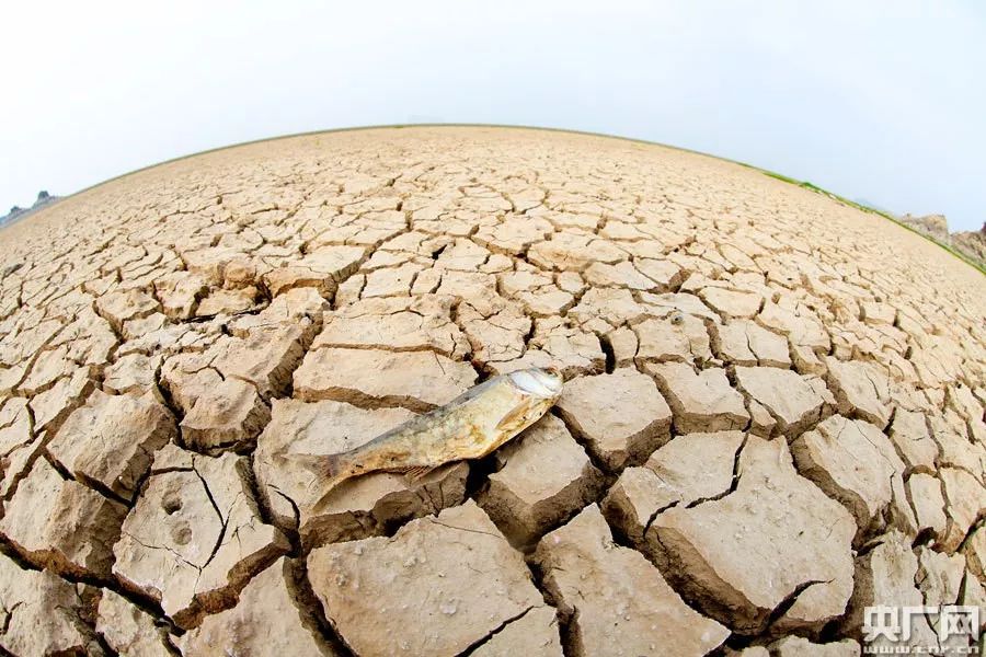 _干旱地区降水_干旱区降水量