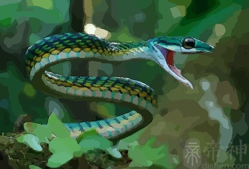 _多大年龄年纪_多大年龄年年体检