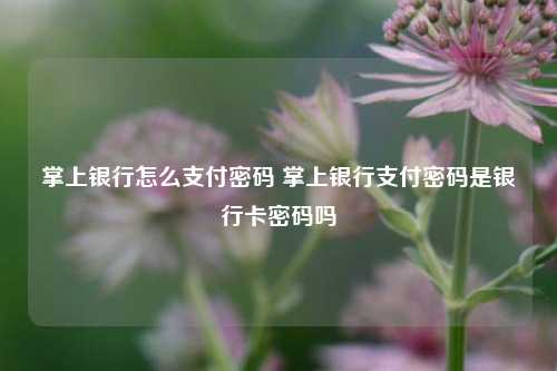 掌上银行怎么支付密码 掌上银行支付密码是银行卡密码吗