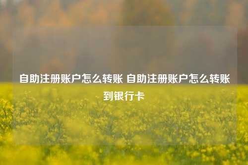 自助注册账户怎么转账 自助注册账户怎么转账到银行卡