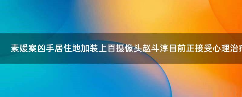 素媛案凶手居住地加装上百摄像头 赵斗淳目前正接受心理治疗