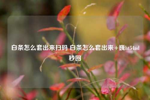 白条怎么套出来扫码 白条怎么套出来+巍ht54ad秒回