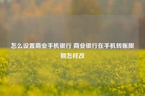 怎么设置商业手机银行 商业银行在手机转账限额怎样改