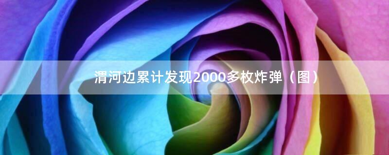 渭河边累计发现2000多枚炸弹（图）