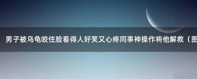 男子被乌龟咬住脸看得人好笑又心疼 同事神操作将他解救（图）