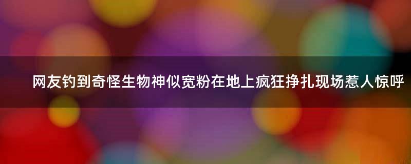 网友钓到奇怪生物神似宽粉 在地上疯狂挣扎现场惹人惊呼