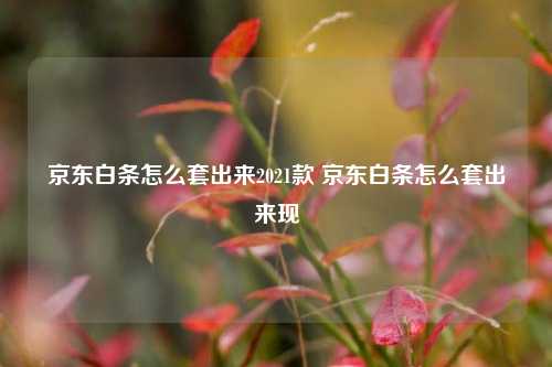 京东白条怎么套出来2021款 京东白条怎么套出来现