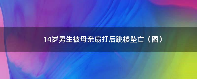 14岁男生被母亲扇打后跳楼坠亡（图）