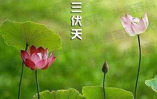 _2015入伏是哪一天_2014入伏是哪一天