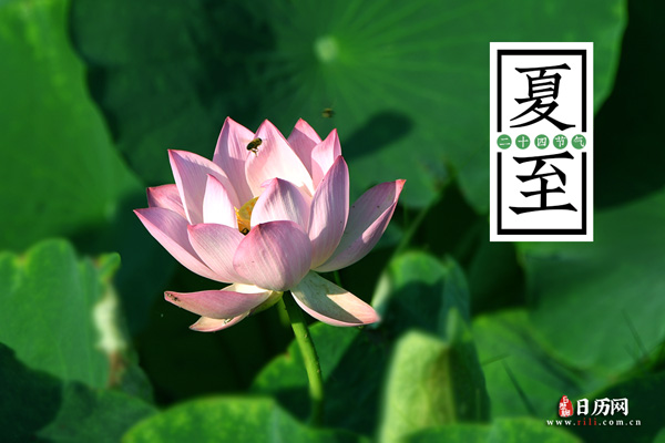 2014入伏是哪一天_2015入伏是哪一天_