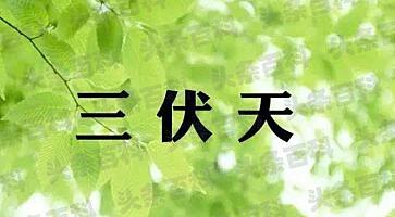 _2015入伏是哪一天_2014入伏是哪一天