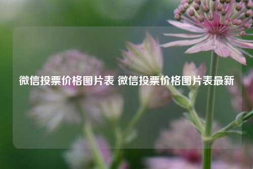微信投票价格图片表 微信投票价格图片表较新