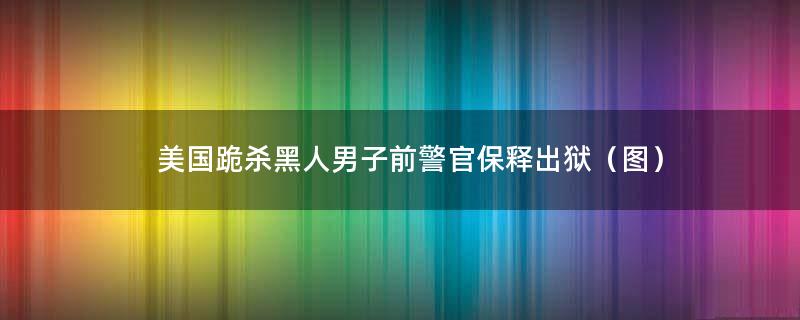 美国跪杀黑人男子前警官保释出狱（图）