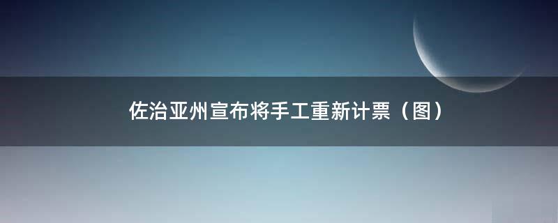 佐治亚州宣布将手工重新计票（图）