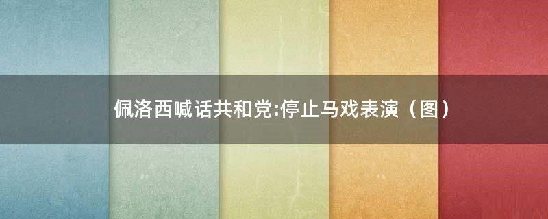 佩洛西喊话共和党:停止马戏表演（图）