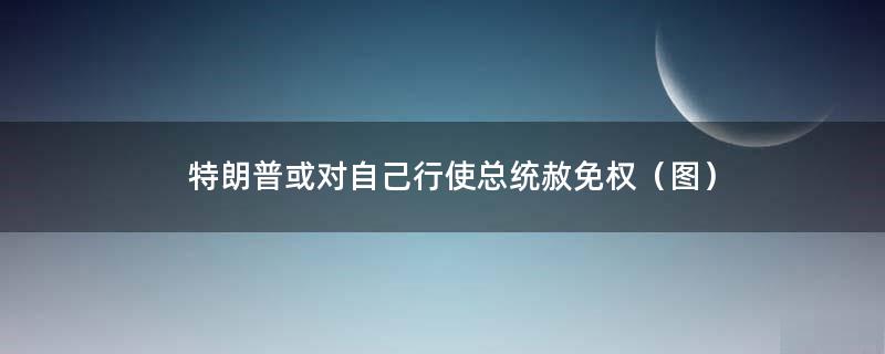 特朗普或对自己行使总统赦免权（图）