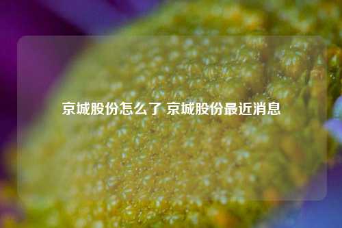 京城股份怎么了 京城股份较近消息