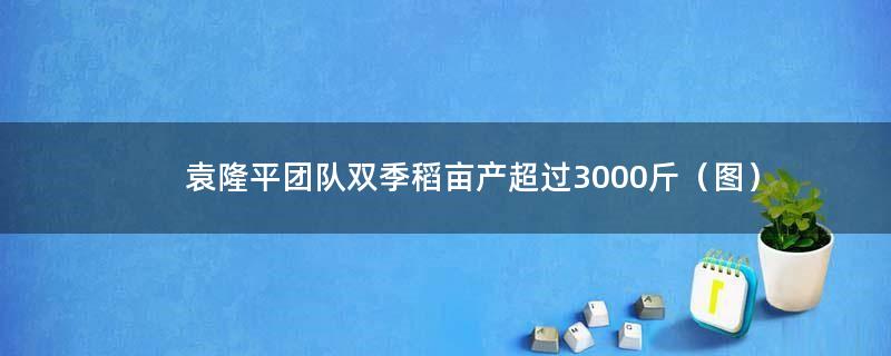 袁隆平团队双季稻亩产超过3000斤（图）