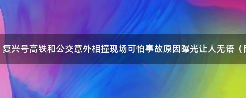 复兴号高铁和公交意外相撞现场可怕 事故原因曝光让人无语（图）