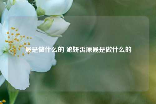 晟是做什么的 泌妍禹原晟是做什么的