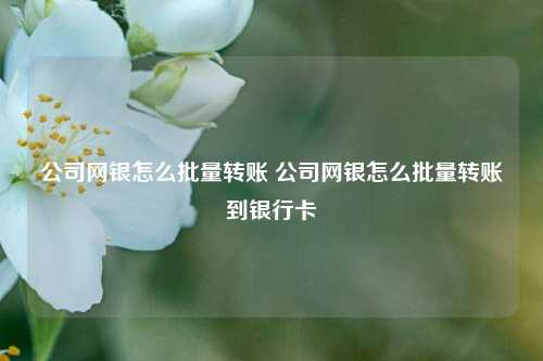 公司网银怎么批量转账 公司网银怎么批量转账到银行卡