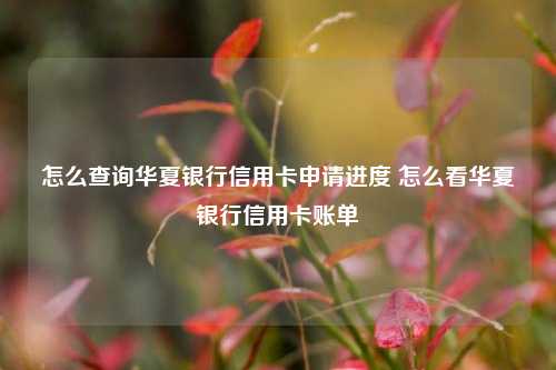 怎么查询华夏银行信用卡申请进度 怎么看华夏银行信用卡账单