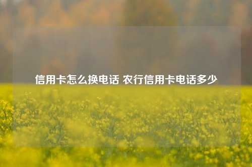 信用卡怎么换电话 农行信用卡电话多少