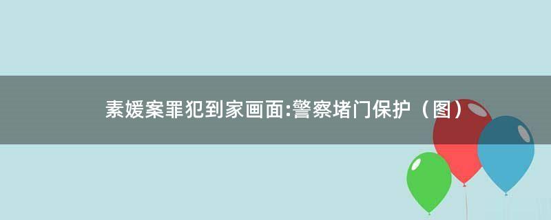素媛案罪犯到家画面:警察堵门保护（图）