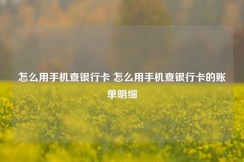 怎么用手机查银行卡 怎么用手机查银行卡的账单明细