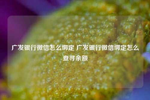 广发银行微信怎么绑定 广发银行微信绑定怎么查寻余额