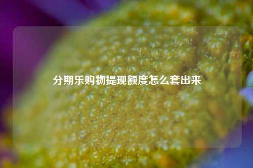分期乐购物提现额度怎么套出来