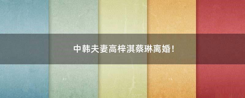 中韩夫妻高梓淇蔡琳离婚！