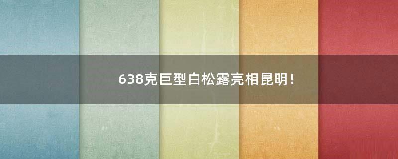638克巨型白松露亮相昆明！