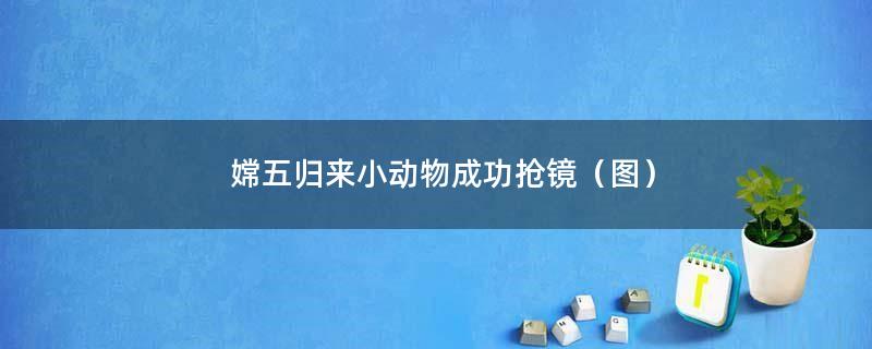 嫦五归来小动物成功抢镜（图）